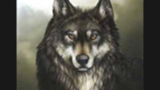 Wolf Tribute