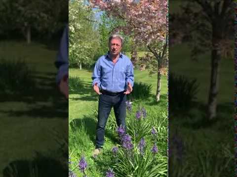 Video: Was ist Garten in PCF?