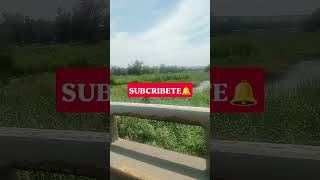 JUANACATLAN JALISCO, RIO SANTIAGO CONTAMINADO