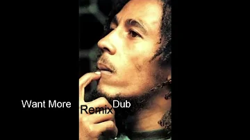 Bob Marley and The Wailers Want More   Dub Remix   Dylan Denney