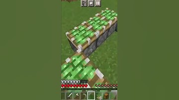 I Try to Troll Noob In Minecraft But He Trolled Me #shorts