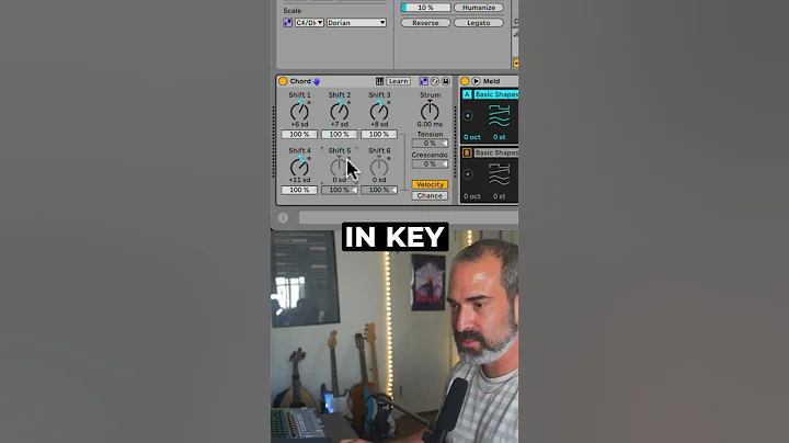 New Chord Effect in Ableton Live 12 is crazy! #ableton12 #chords #musicproduction #ableton