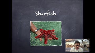 Hello Swift. Урок 2. Переменные. Константы. Системные слова