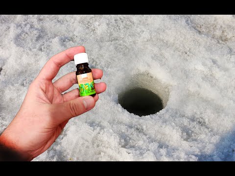 ЭТО ЛЮБИТ ВСЯ РЫБА ЗИМОЙ!