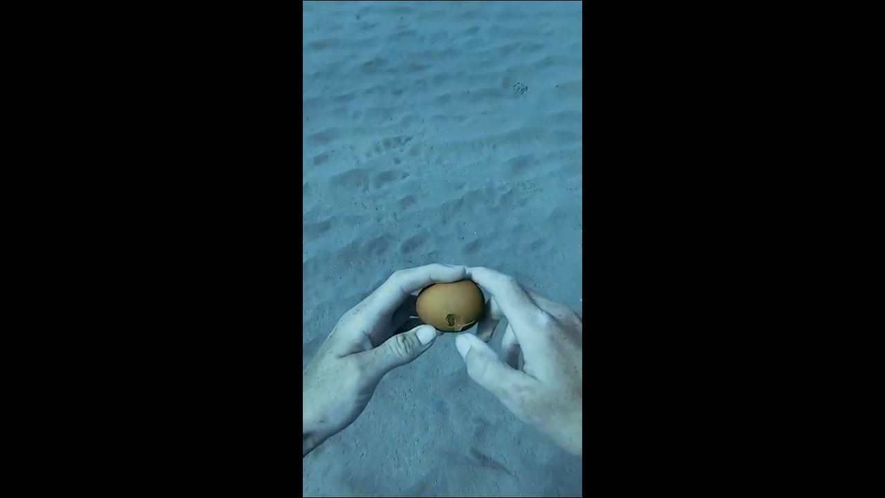 I Cracked an Egg Underwater YouTube
