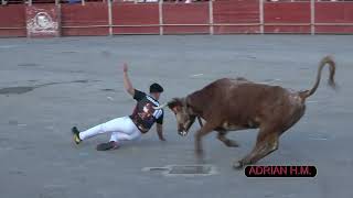 La Vall d&#39;Uixó (Cs)Feria de Invierno - Esencias de la calle con vacas de Eulogio Mateo