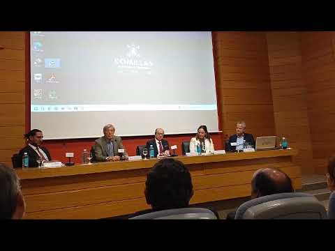 Cátedra - Universidad Comillas - Invitado Alejandro Roemmers