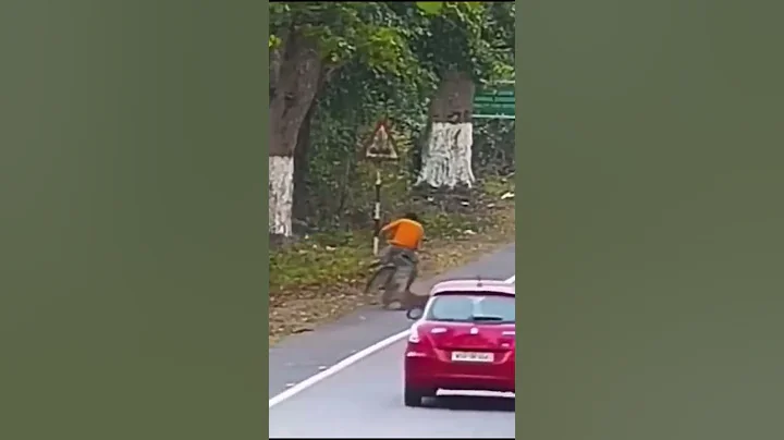 Funny Fails 😂😂 😂 #shorts #shortsfeed #viralshorts #trendingshorts