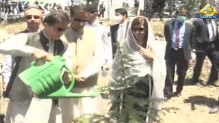 ایک ارب پودے لگانے کا ہدف مکمل، وزیراعظم عمران خان نے ہری پور پہنچنے پر پودا لگایا