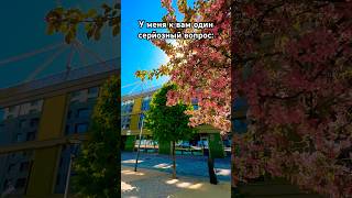 Киев святой город на семи холмах как Рим. Украинские княгини стали королевами Европы Англии Франции