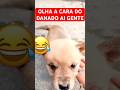 AINDA BEM QUE ELE NÃO SE MACHUCOU GENTE