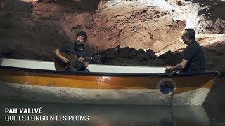 Video thumbnail of "PAU VALLVÉ - Que es fonguin els ploms (concert en una cova)"