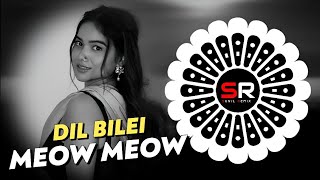 DIL BILEI MEOW MEOW - ODIA VIRAL DJ | EDM x CIRCUIT MIX | DJ SUBHAM BLS x DJ TITAN BLS |