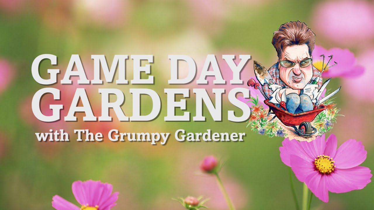 Grumpy Gardener Game Day Gardens & Contest - YouTube