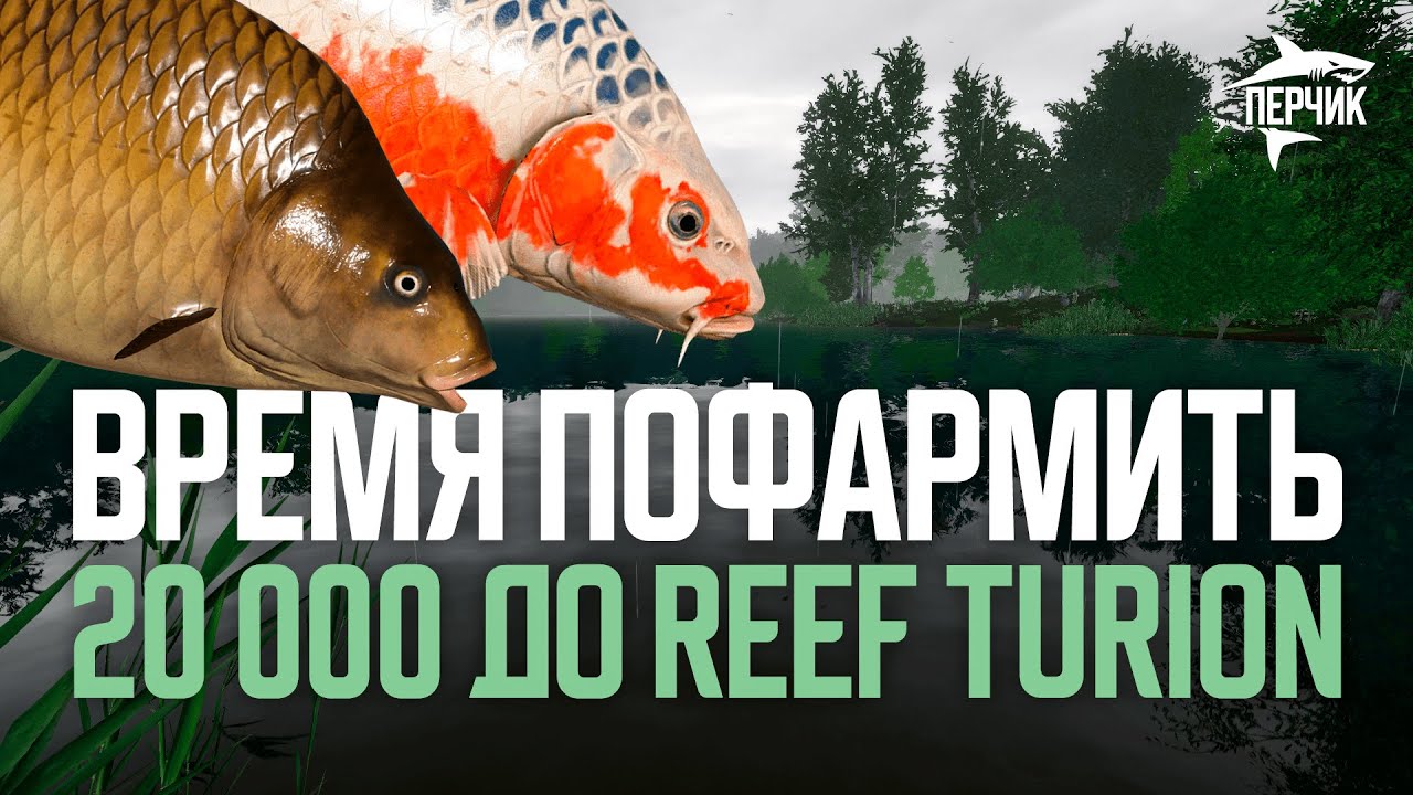 АНАНАС или ТУТТИ ФРУТТИ? Фарм на Медном Русская рыбалка 4 РР4 - YouTube
