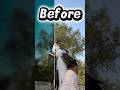 Lightroom BlackMagic Edits, changing background Adding some blur