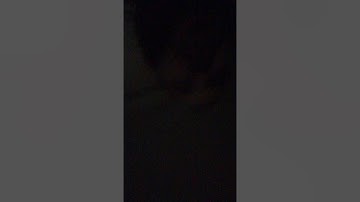 سورة المائدة برواية ورش عن نافع من آية 77 إلى آية 97 من صفحة 121 إلى صفحة 124 مازن زامل