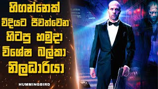 හිගන්නෙක් විදියට ජීවත්වෙන හිටපු හමුදා විශේෂ බලකා නිලධාරියා 🎬 Movie Explained in Sinhala