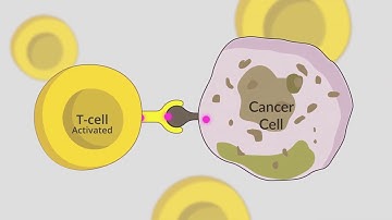 ACEA Transformative Video01: Targeting Checkpoint Inhibitors for Cancer Treatment: The Possibilities