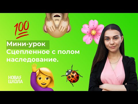 Мини-урок 'НШ |