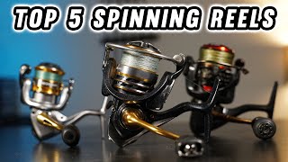 The Top 5 Spinning Reels Under $100! 2024 Buying Guide 