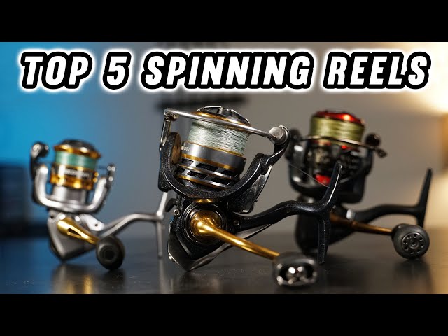 100+ affordable fishing reel shimano For Sale, Fishing