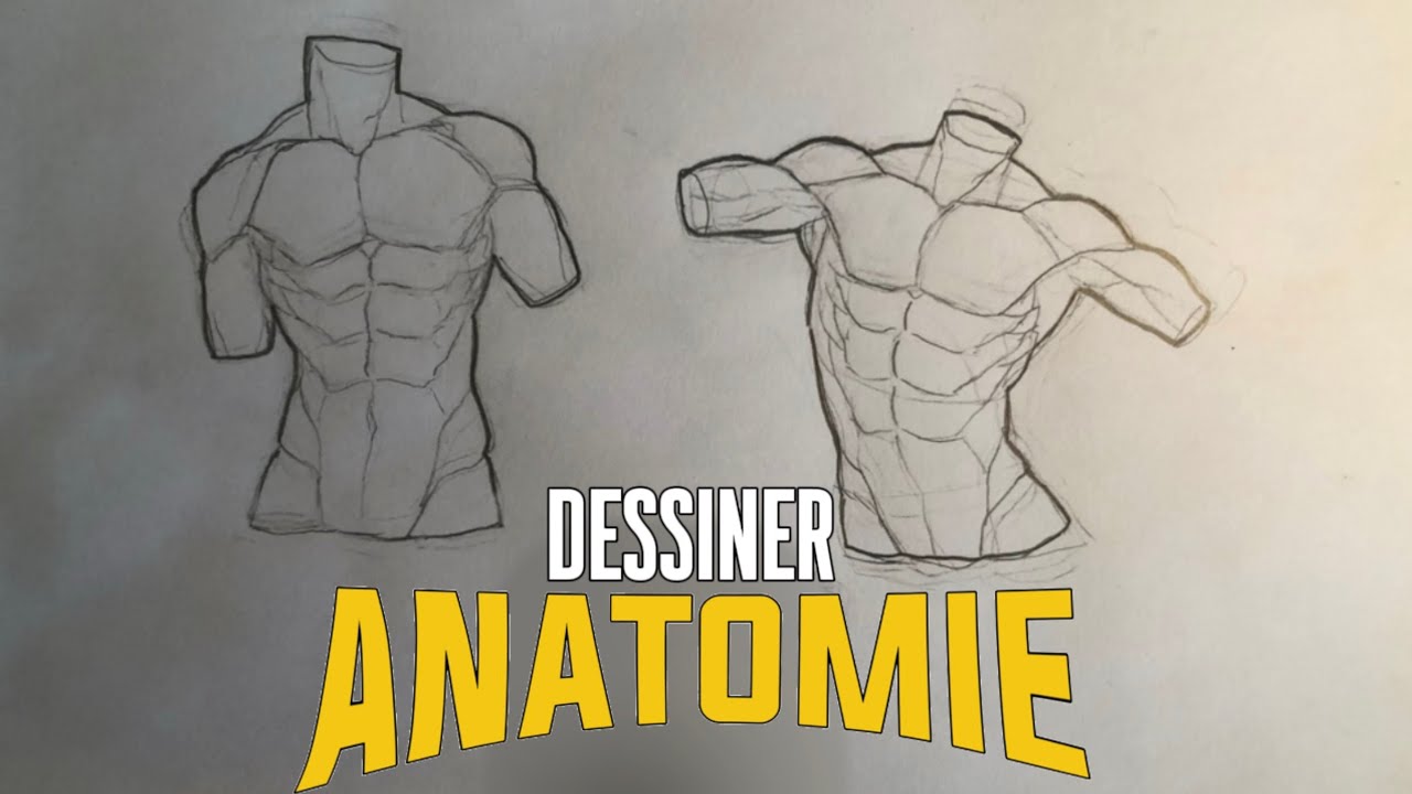 Comment je DESSINE l’ANATOMIE ? ✍️ | Timelapse drawings