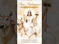 Day 8 Maa Mahagauri 🙏🕉️ Navratri Special Video🕉️#shortvideo #shorts #navratri #maadurga #viral