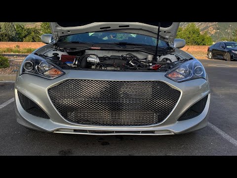 Mesh Grill Install(2013