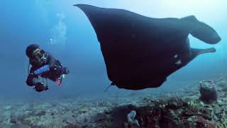 Bali 2024 Nusa Penida - Manta Point 02