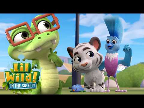 No Sleep Meep! 😴💤 | Lil Wild | Animal Adventures for Kids