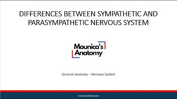 General Anatomy | Differences between Sympathetic and Parasympathetic Nervous System