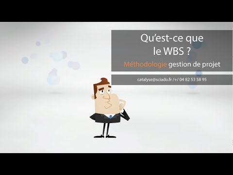 Vidéo: Qu'est-ce que le dictionnaire WBS en gestion de projet ?