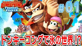 新品未開封　マリオ vs ドンキーコング　トロピカルフリーズ　リターンズHD Nintendo Switch ドンキーコング リターンズ HD【即日出荷・新品