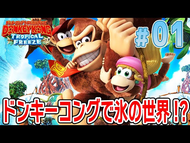 常夏のドンキーコングの世界が一遍！氷の世界に！？【ドンキーコング