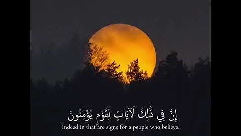 أجمل حالات واتس اب قران كريم/ناصر القطامي😍/مقاطع دينية قصيرة 💚