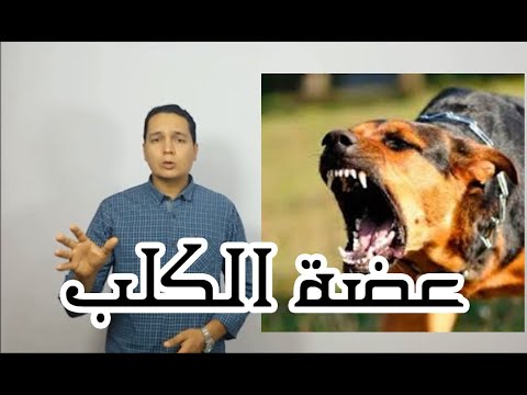 فيديو: ما هي الآثار الجانبية للطب دودة للكلاب؟