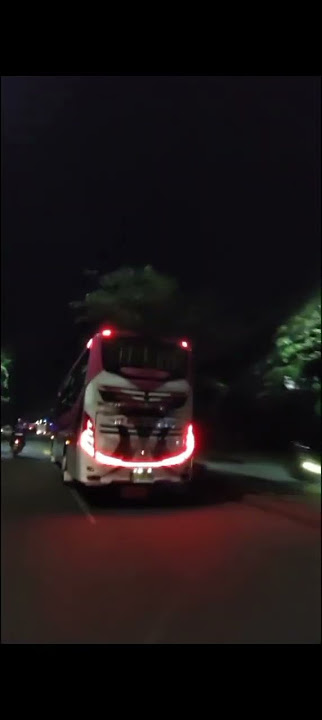 Stecu Koplo 🗿 #koplo #cinematicbus #busmania #basuri #fypシ゚viral