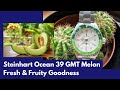 Steinhart Ocean 39 GMT Melon - so fresh, so good