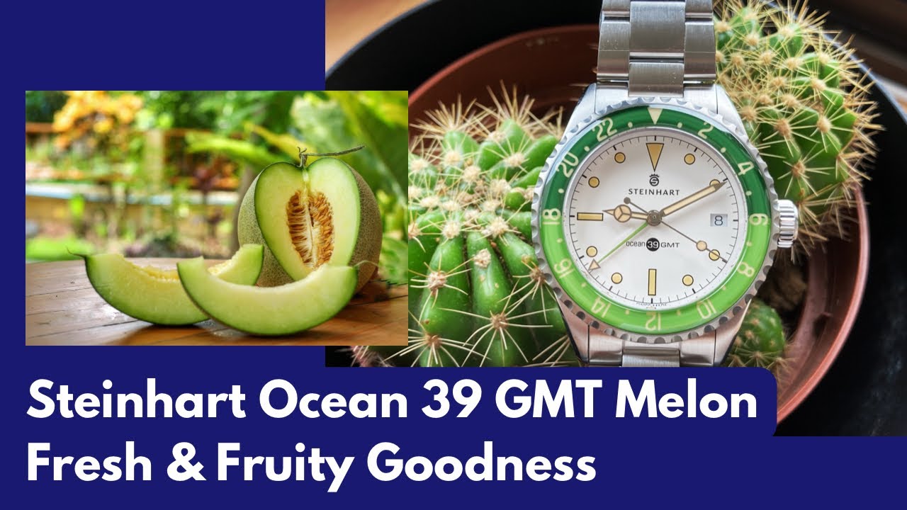 手表101: Gnomon 独家款手表Steinhart Ocean 39 GMT Melon - YouTube