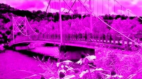 Photoshop Basics: How to tint your photographs with one color