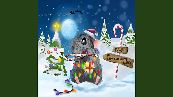 Russell the Grey & White Guinea