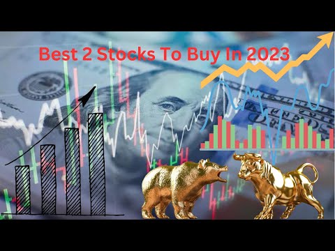 Bullish Bets: Top 2 Stocks to Invest in 2023