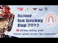 Хоккейный турнир JUNIOR ICE HOCKEY CUP | ПИНСК | 28-30 октября 1 Регион - Юность-13 А