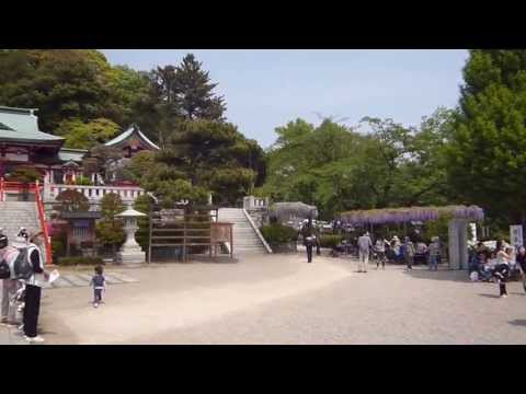 栃木県　足利市　織姫神社(織姫山)　Famous shrine of Japan