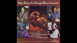 Mojo Buford's Chicago Blues Summit