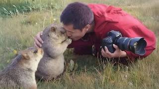 When Animals Surprise Photographers in the Sweetest Way! 😍