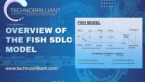 Session 5: Overview of The Fish SDLC Model | Software Testing | Technobrilliant Learning Solutions