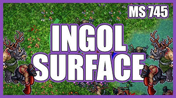 INGOL SURFACE SOLO MS 745 | 5.9kk RAW & 2.2kk Profit