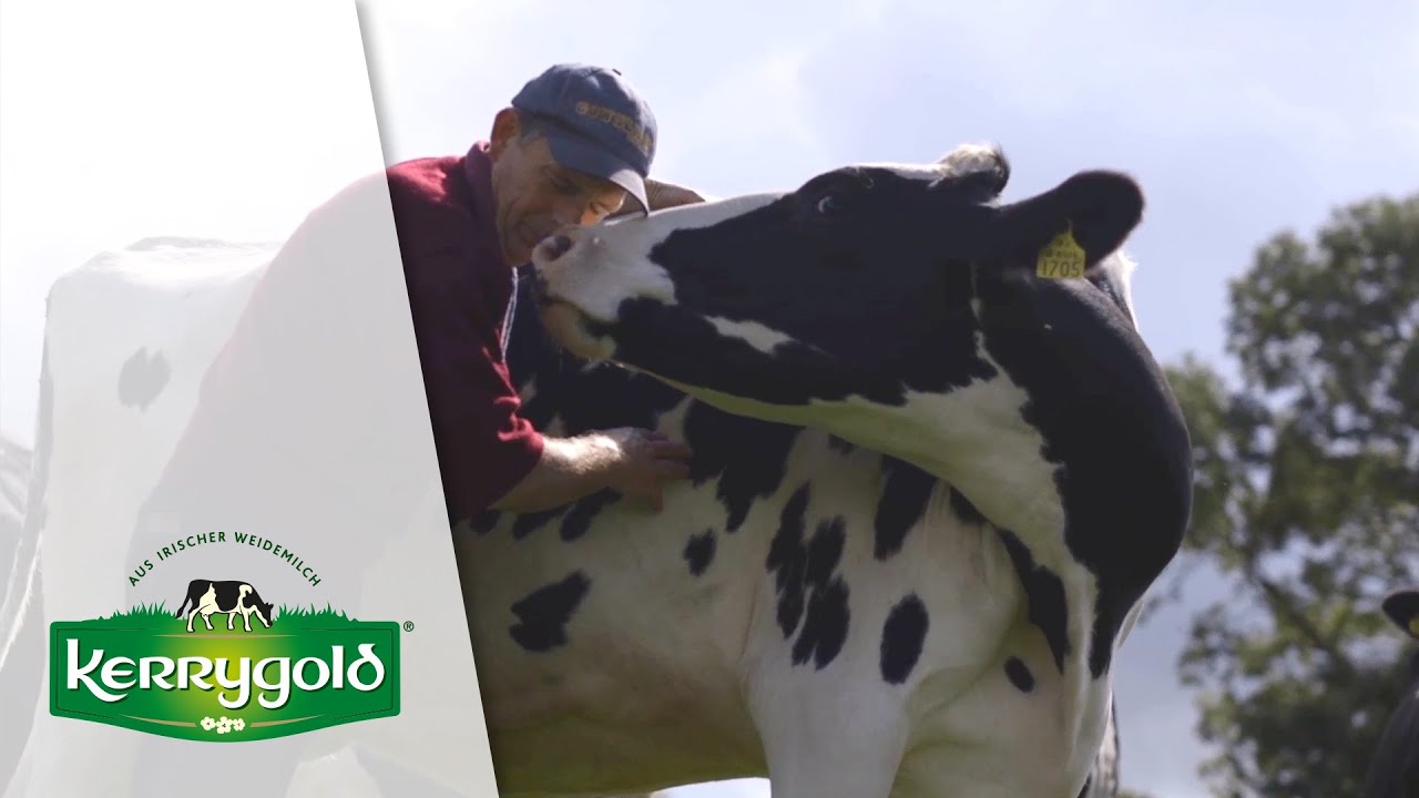 Farmer Sean Hurley ► Kerrygold